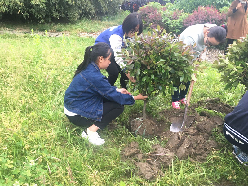 梓桐园艺社开展“我为学校添新绿”植树活动