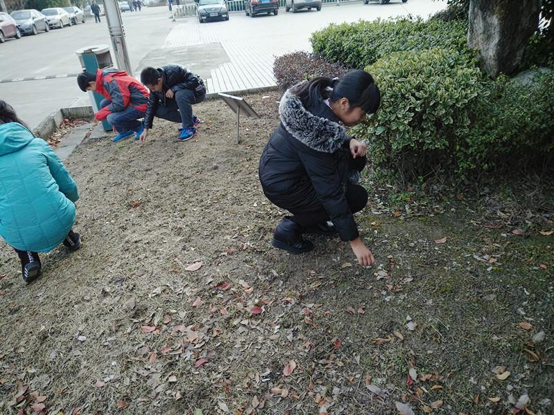 团委组织青年志愿者义务清理校园